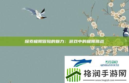 探索极限冒险的魅力