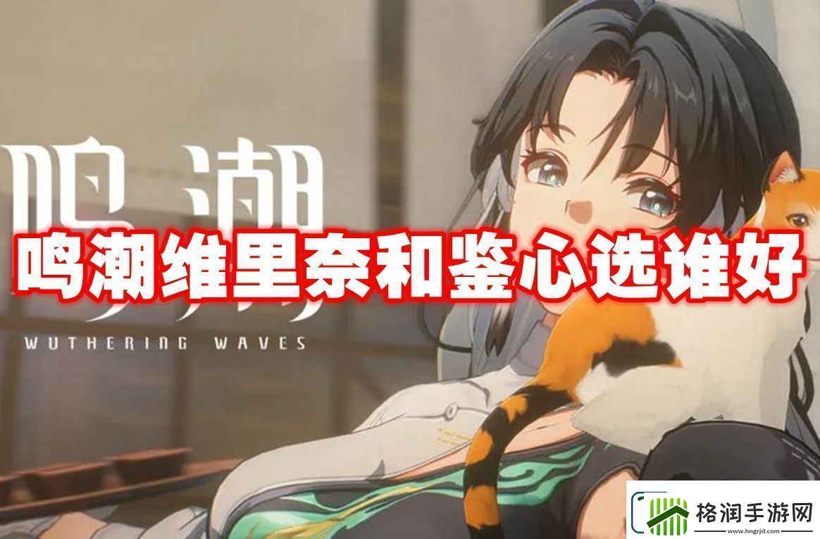 鸣潮维里奈和鉴心对比