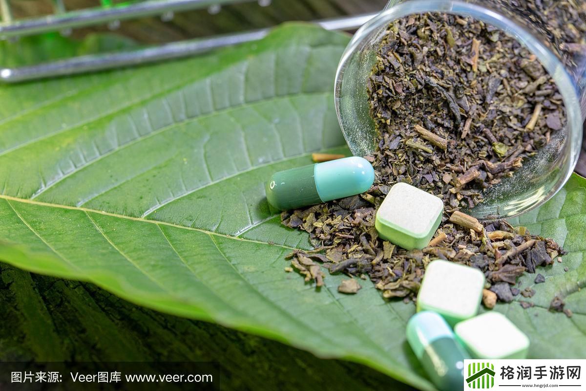 “三角地”里的新晋网红