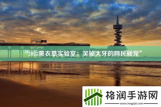 “2023薰衣草实验室