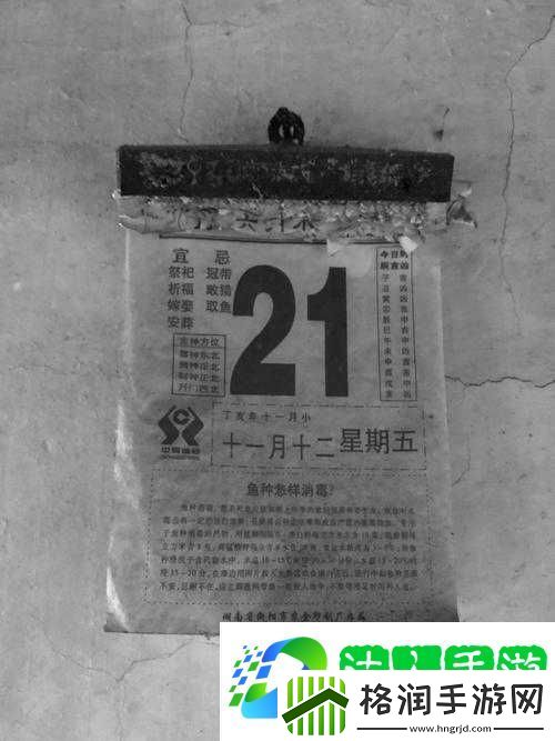 冒险岛2游戏内灰色赛车坐骑全面深度解析与详细图鉴展示