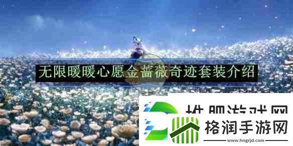 无限暖暖心愿金蔷薇奇迹套装介绍