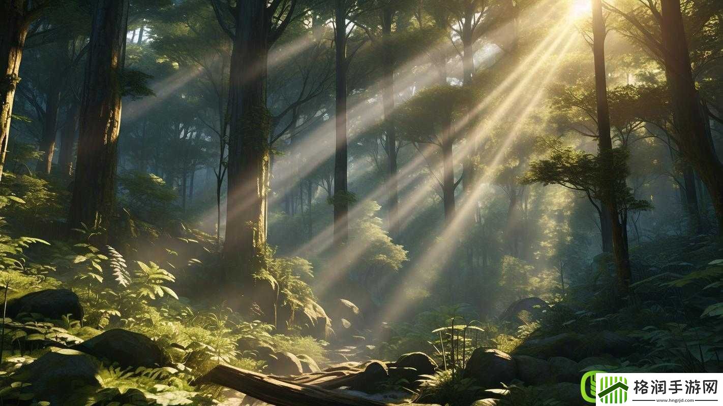 给我看一下你的森林