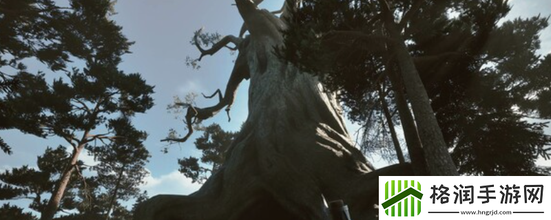 黑森林迷踪游戏特色内容介绍