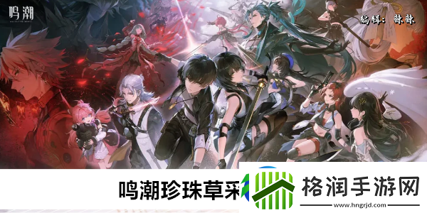 鸣潮珍珠草采集路线