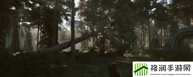 黑森林迷踪游戏配置要求介绍