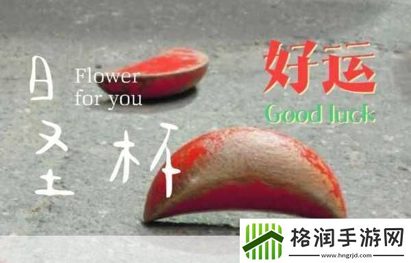 榨汁姐家的圣杯的使用方法