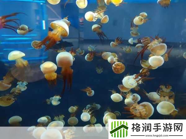 合成动物中文版