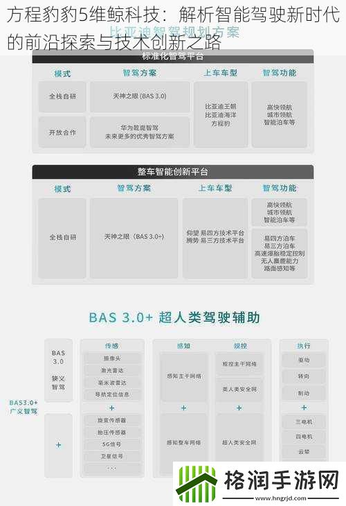 方程豹豹5维鲸科技