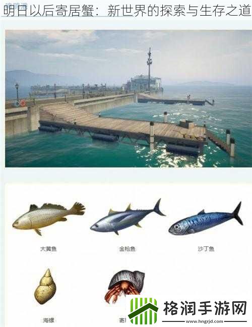 明日以后寄居蟹