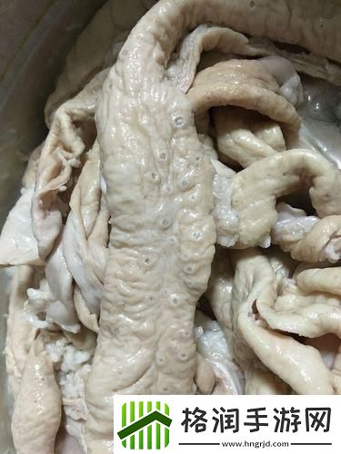 小洞大肠欲望探秘