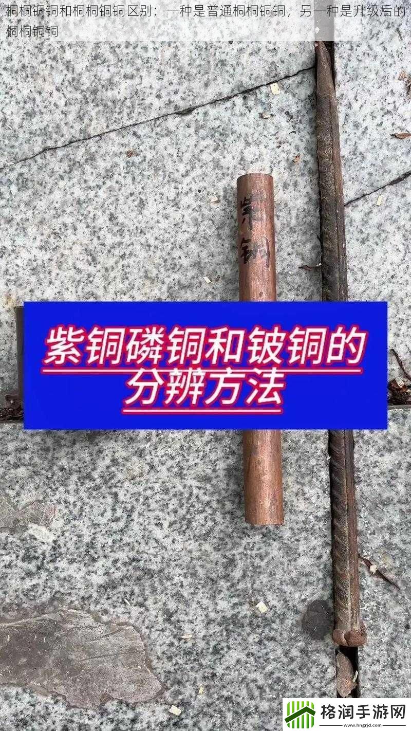 桐桐铜铜和桐桐铜铜区别