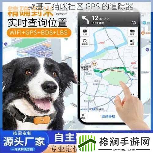 一款基于猫咪社区