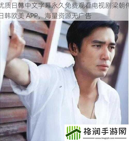 优质日韩中文字幕永久免费观看电视剧梁朝伟日韩欧美