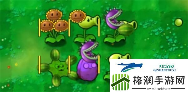 植物大战僵尸嫁接版怎么玩