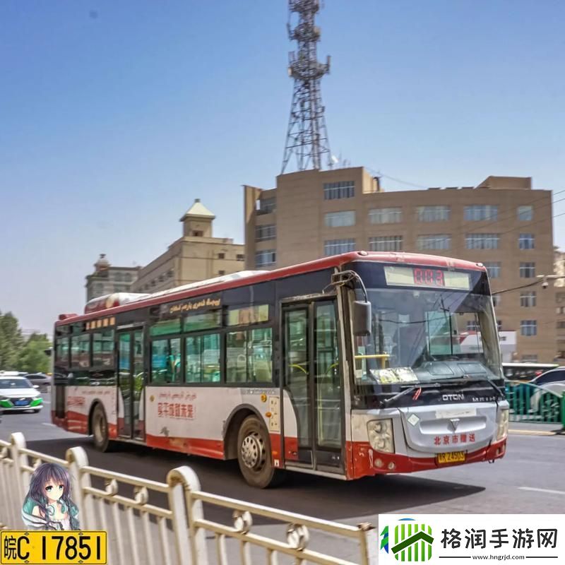 杨大壮和田桂花的公交车