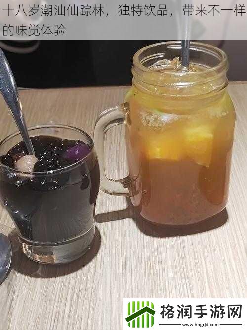 十八岁潮汕仙踪林