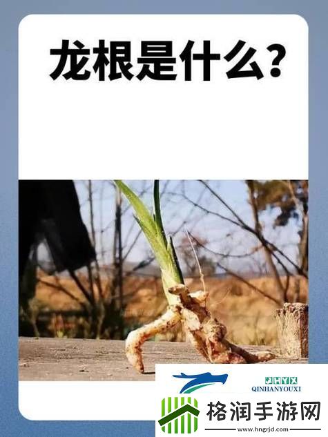 用龙根养大的公主姜宜珠姜封