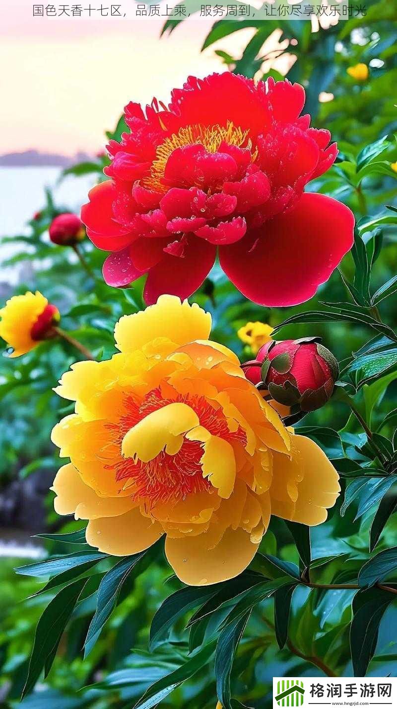 国色天香十七区