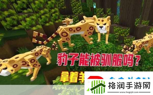 迷你世界大揭秘