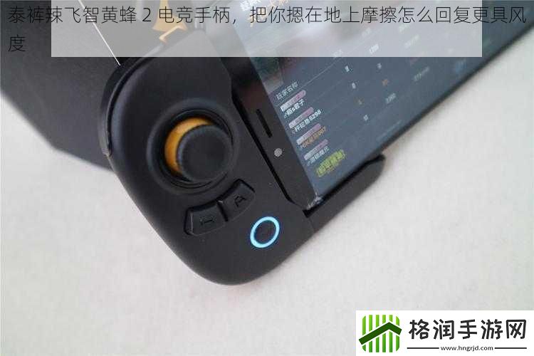 泰裤辣飞智黄蜂