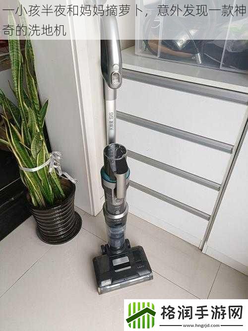 一小孩半夜和妈妈摘萝卜