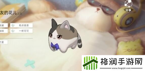 猫之城猫球训练方法