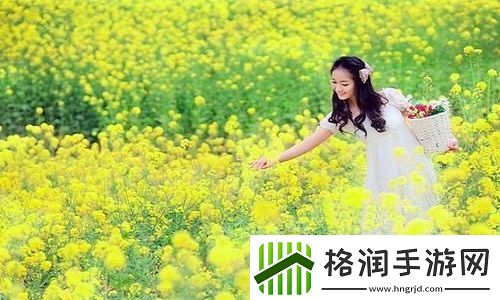 麻花传剧原创MV在线看完整版高清
