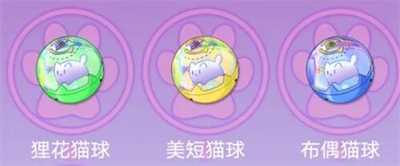 猫之城猫球训练方法