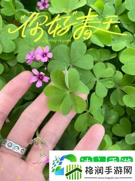 成品人精品人的区别四叶草