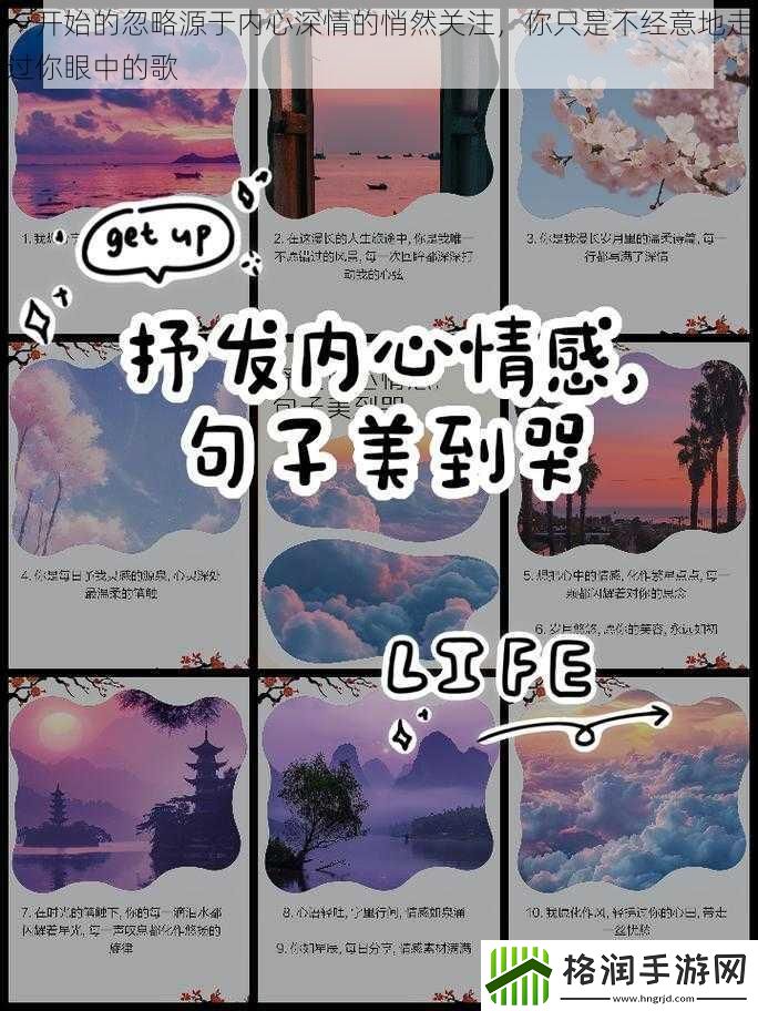 一开始的忽略源于内心深情的悄然关注