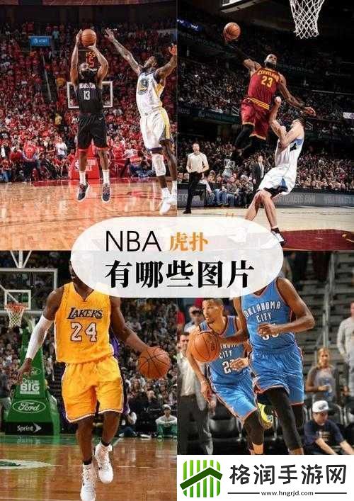 张警撞玻璃视频大全播放