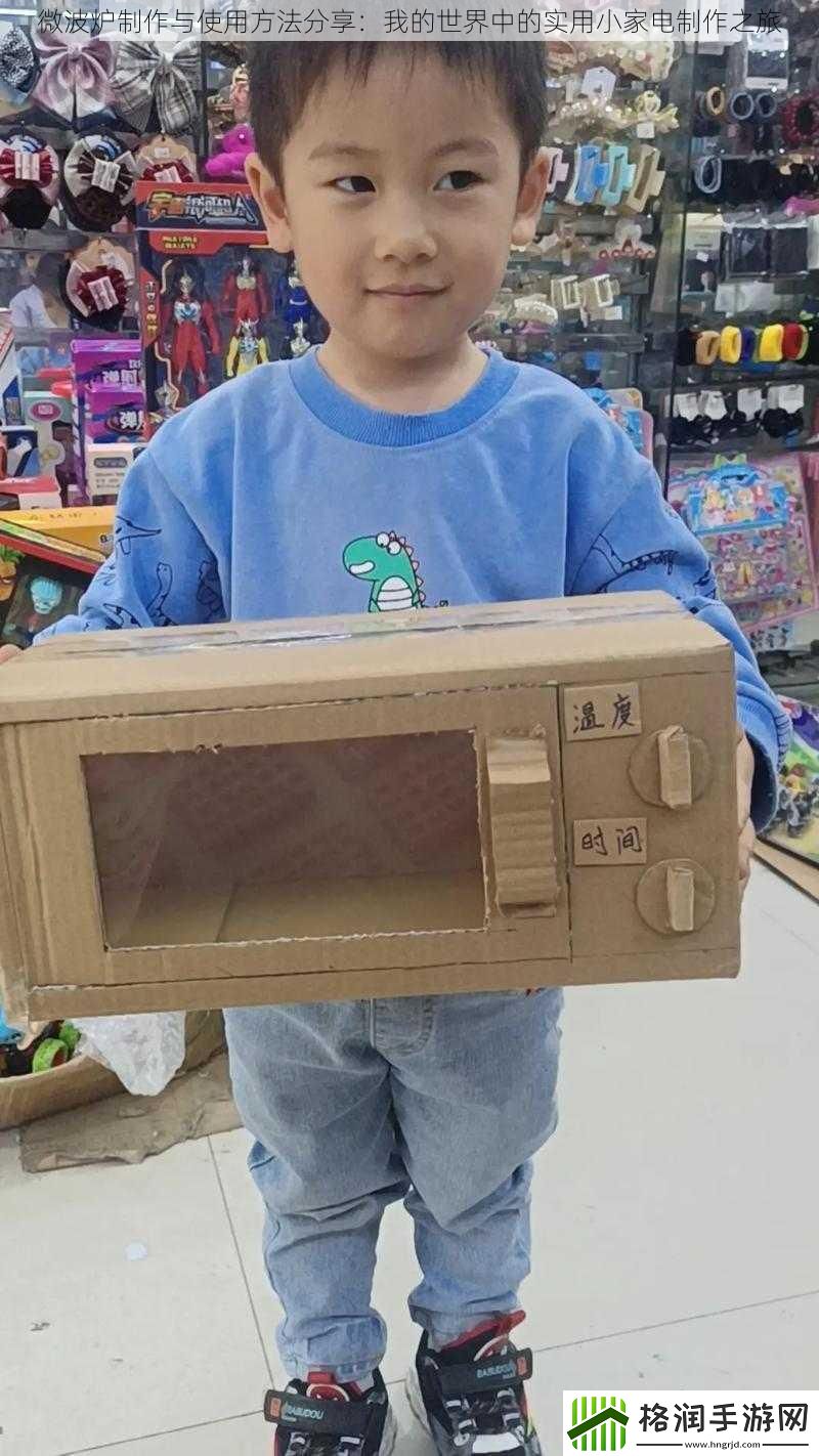 微波炉制作与使用方法分享
