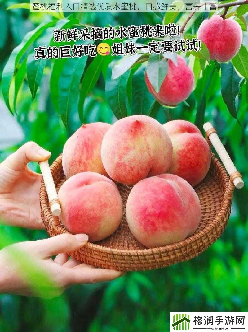 蜜桃福利入口精选优质水蜜桃