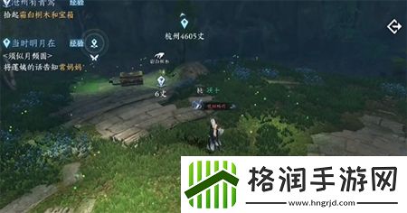 逆水寒手游沧州有青鸾通关攻略