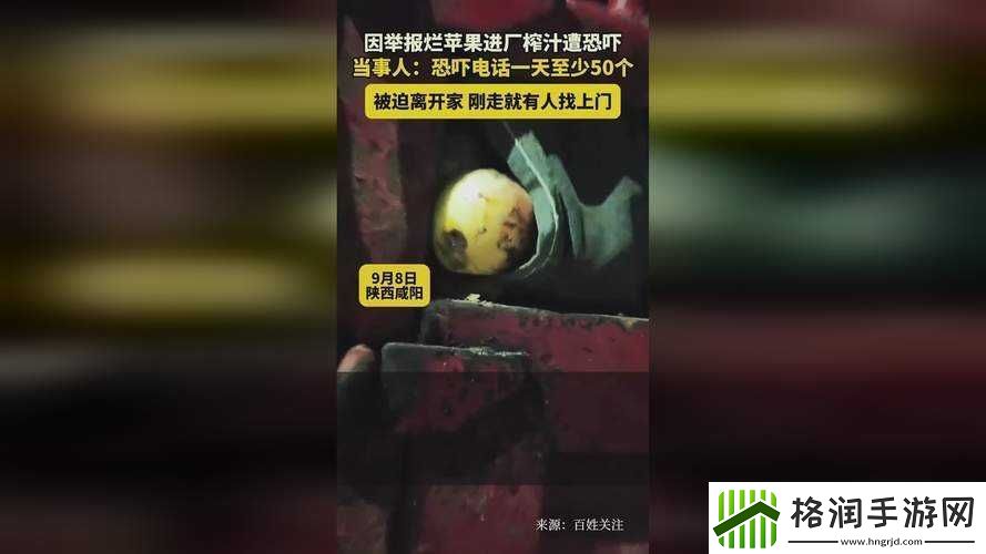 打牌生猴子的视频大全软件