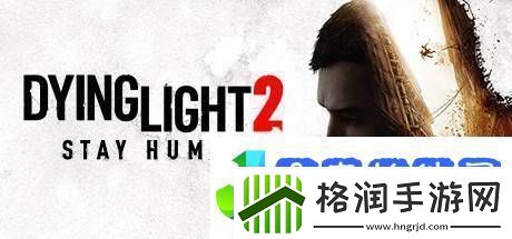 消逝的光芒系列十周年