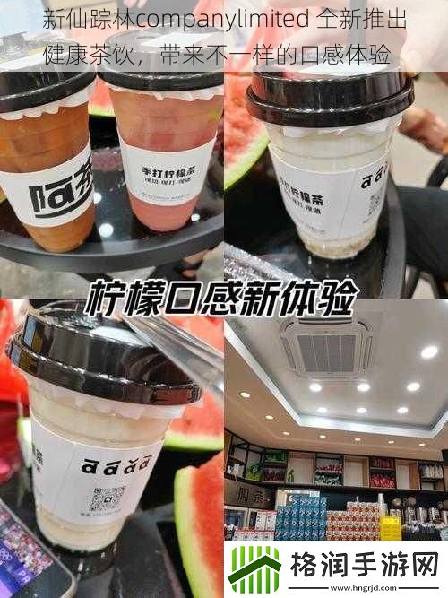 新仙踪林companylimited