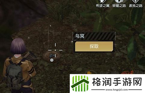 黎明觉醒卤鸟蛋配方是什么