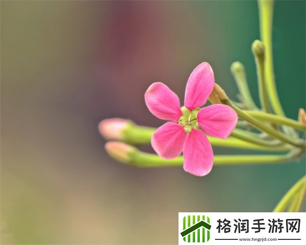 揉豆豆的基础手法教学