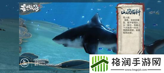 妄想山海普通异兽噬人鲨资料介绍