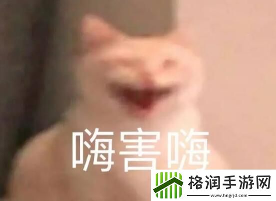 嗨嗨嗨梗的意思介绍