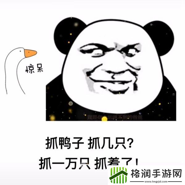 抖音抓鸭子表情包分享