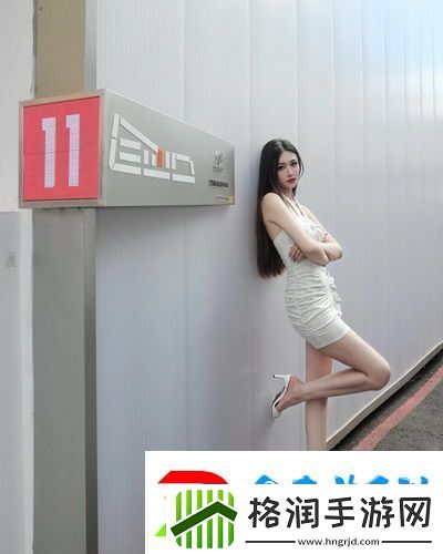 暴躁日本老阿姨CSGO