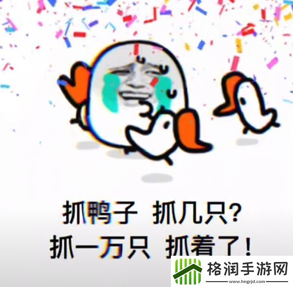 抖音抓鸭子表情包分享