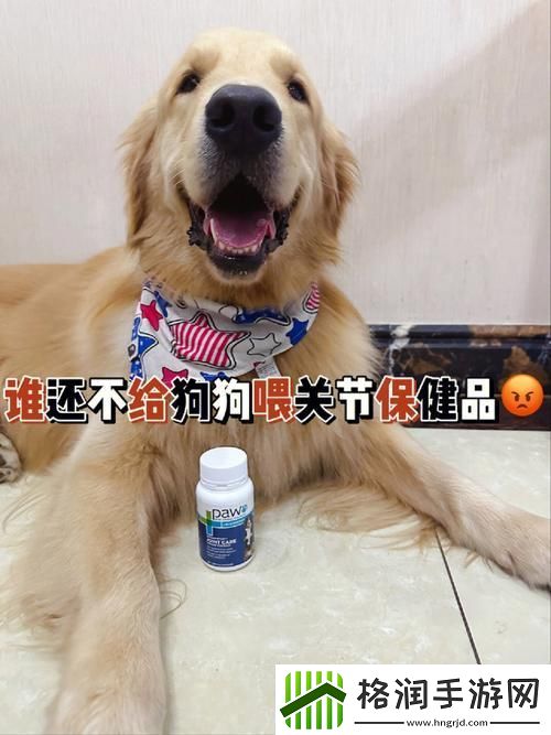 人狗胶配方大全狗狗一