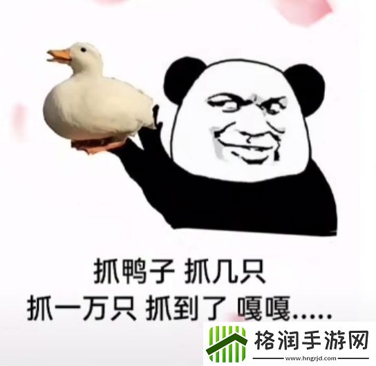 抖音抓鸭子表情包分享