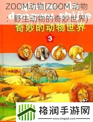 ZOOM动物