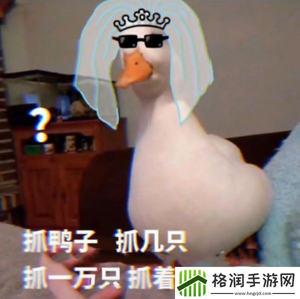 抖音抓鸭子表情包分享