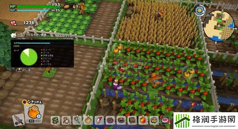 勇者斗恶龙建造者2绿色开拓地任务全解析